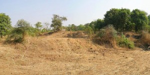 View from the river side towards the mound where we will build