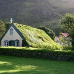 green roof