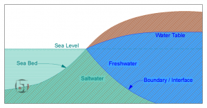 too much paving leads to a drop in the water table which allows egress of saltwater