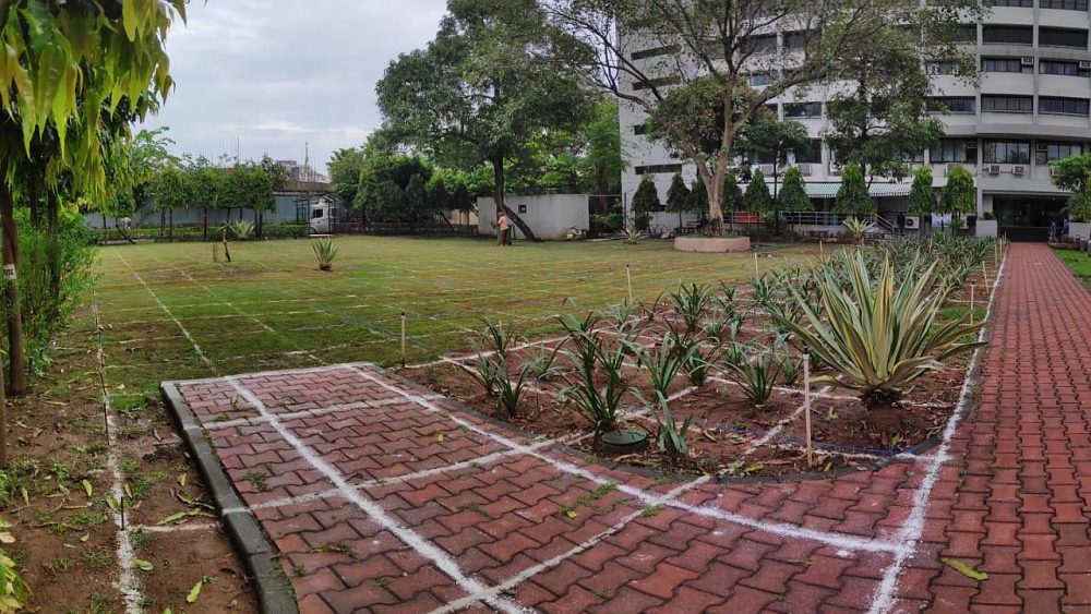 In the morning, before the marking of pathways began, there was only a square grid