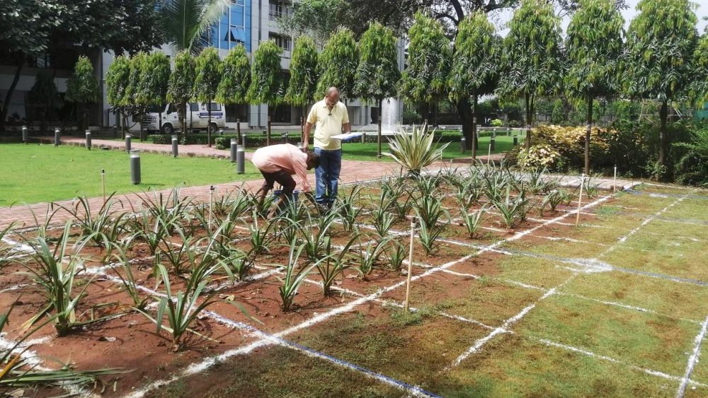 Marking the points where the pathway edges intersected with the grid